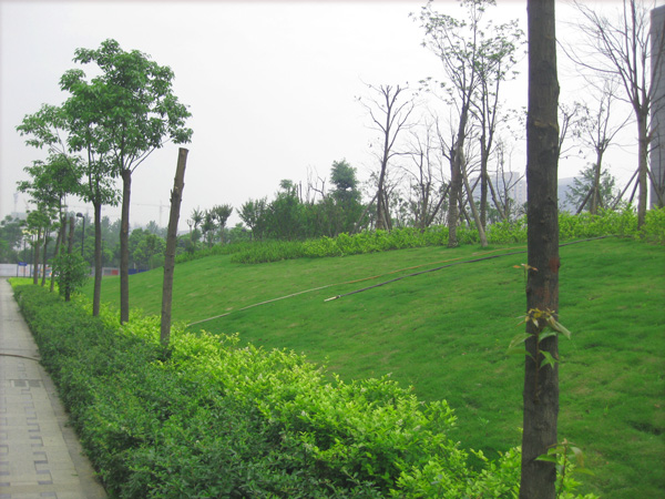 20120511022053_39440.jpg
