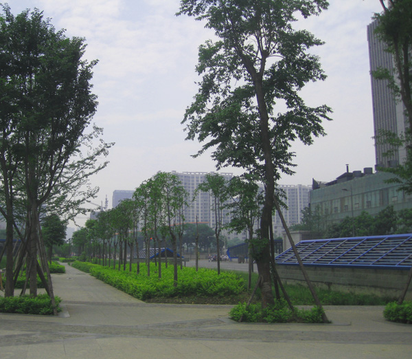 20120511022110_73756.jpg
