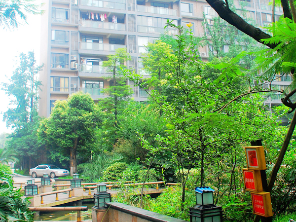 20120711091209_49694.jpg