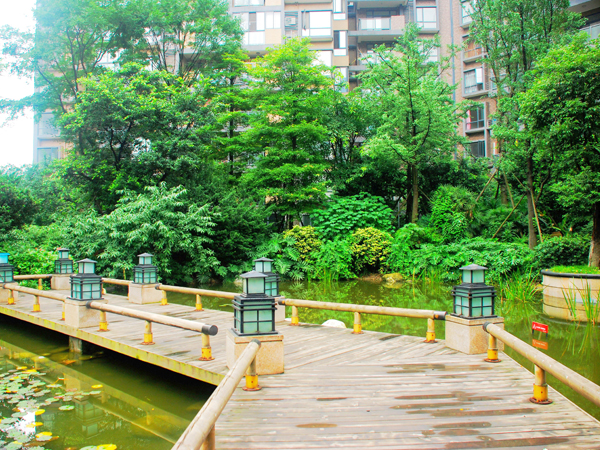 20120711091230_29071.jpg