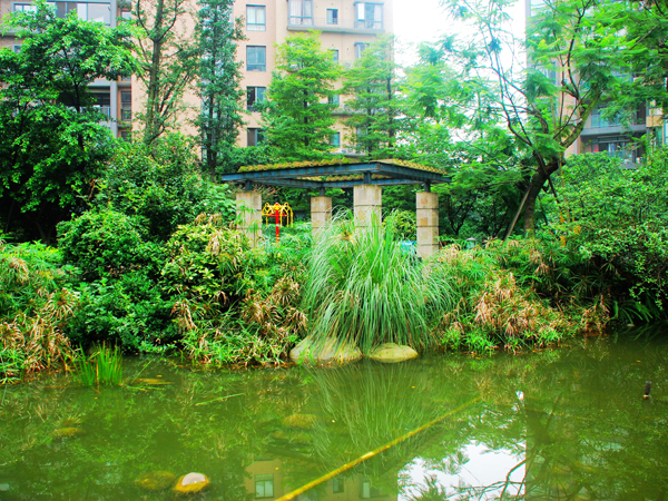 20120711091241_57717.jpg