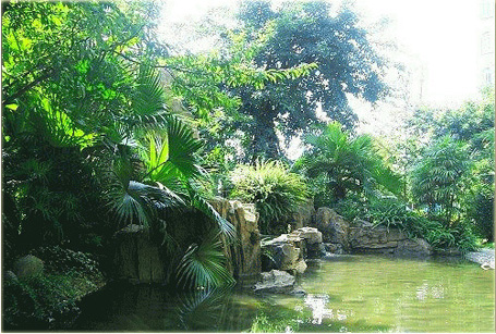 20120521042406_13018.jpg
